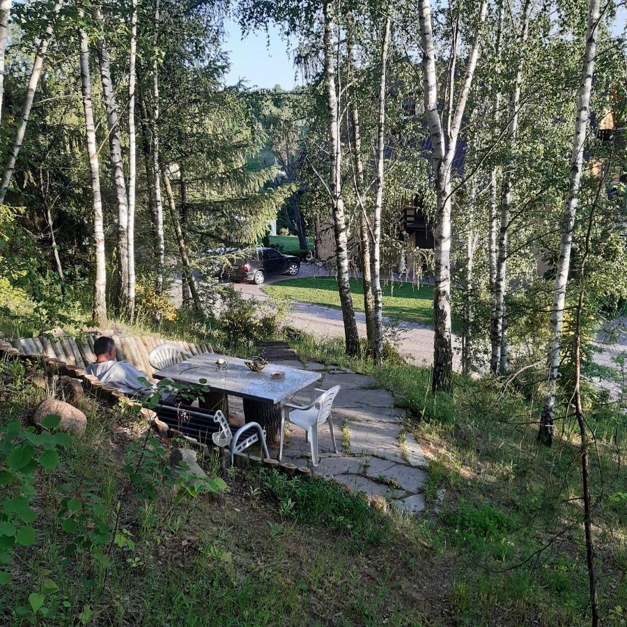 Agroturystyka Brzozowe Wzgorze Wlen Exterior photo