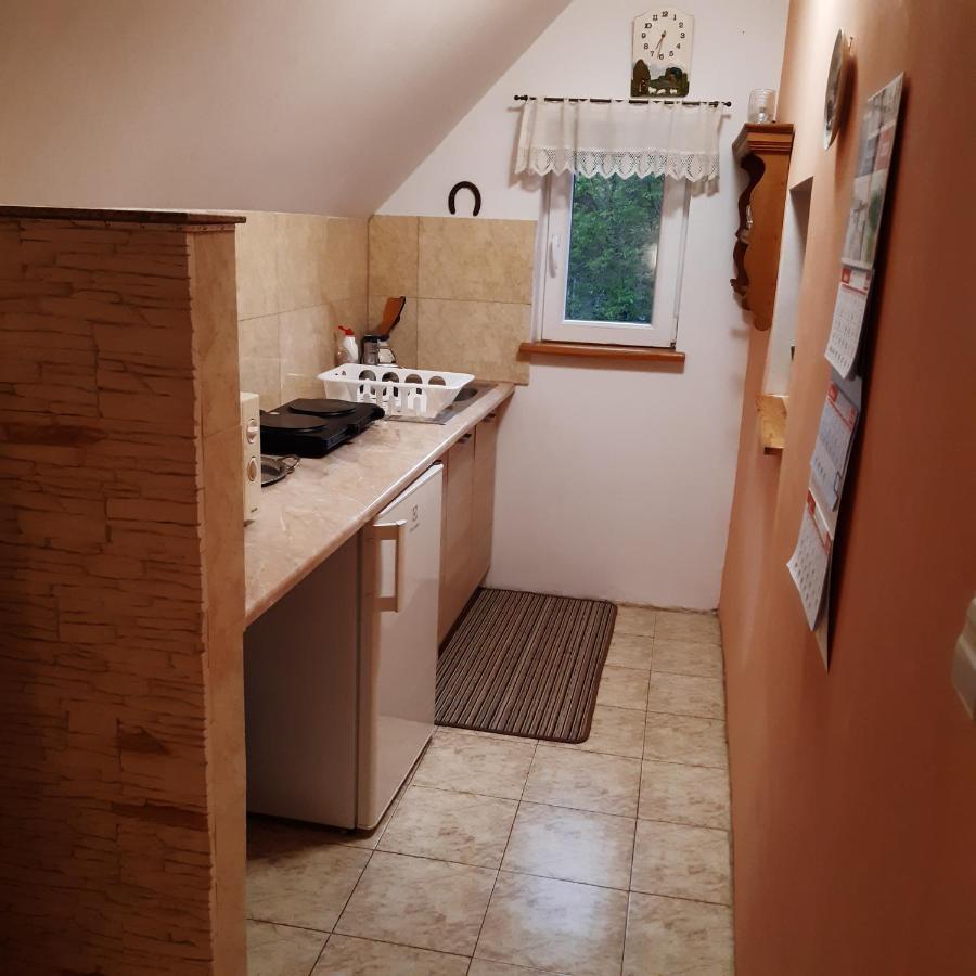 Agroturystyka Brzozowe Wzgorze Wlen Exterior photo