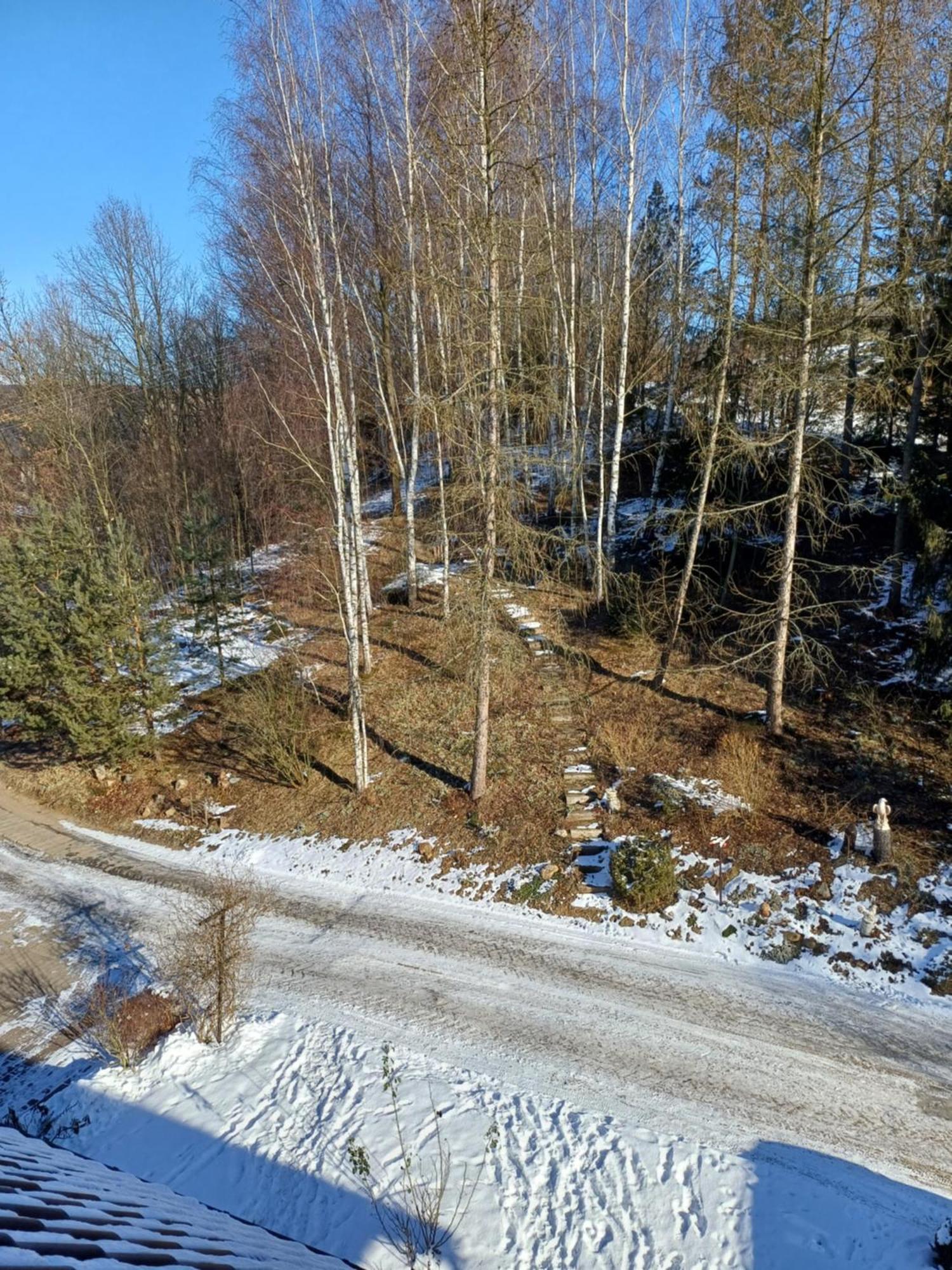 Agroturystyka Brzozowe Wzgorze Wlen Exterior photo